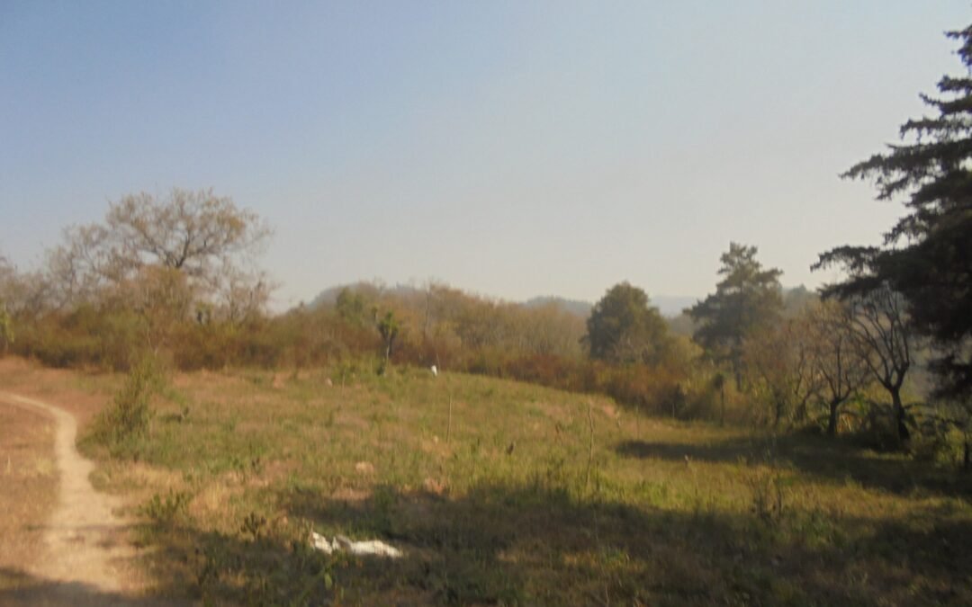 Se vende terreno Agrícola y Ganadero en Palencia a la Orilla de Carretera de Agua Caliente