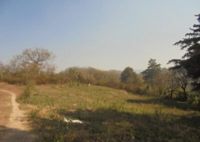 Se vende terreno Agrícola y Ganadero en Palencia a la Orilla de Carretera de Agua Caliente